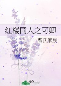 红楼同人之可卿